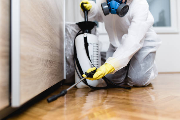 Best Affordable Pest Control Services  in Blanchester, OH