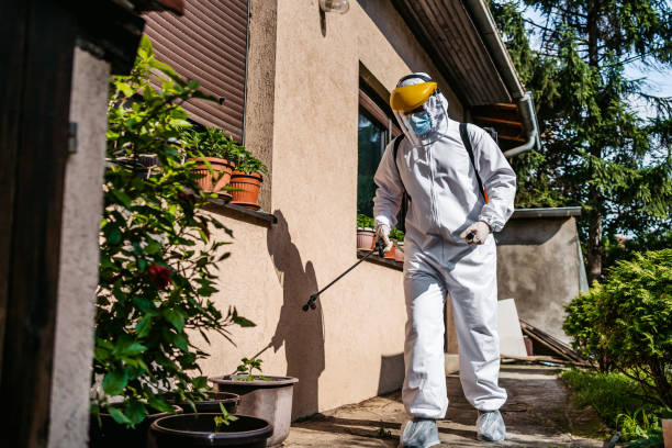 Best Ant Control Services  in Blanchester, OH