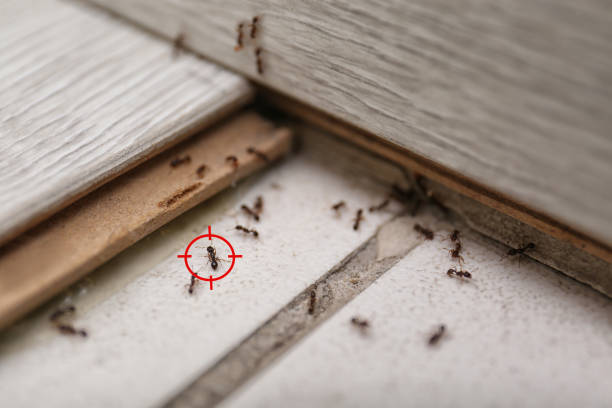 Blanchester, OH Pest Control Company