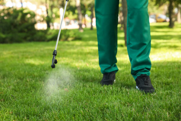 Best Cockroach Control Services  in Blanchester, OH