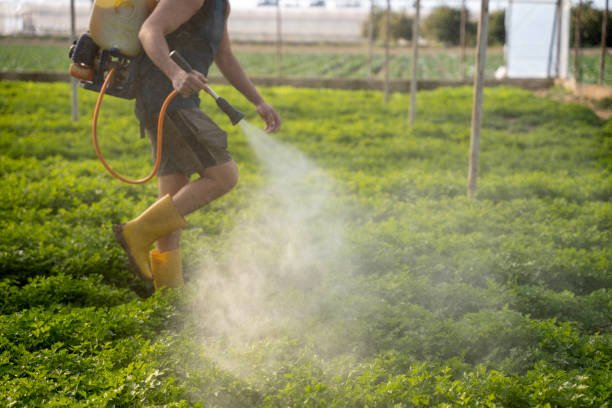 Best Pest Inspection Near Me  in Blanchester, OH