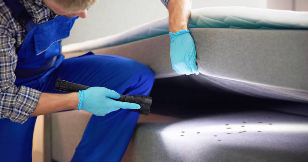 Best Wasp Removal Services  in Blanchester, OH