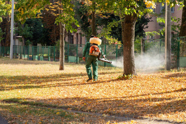 Best Commercial Pest Control Services  in Blanchester, OH