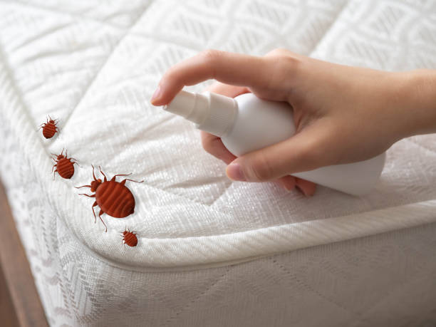 Best Best Pest Control Companies  in Blanchester, OH