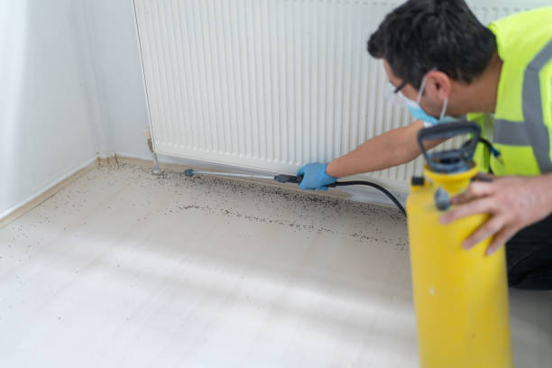 Best Pest Control for Restaurants  in Blanchester, OH