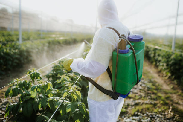 Best Insect Control  in Blanchester, OH